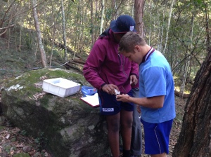 data collection in the forest