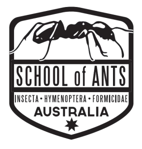 ants logo